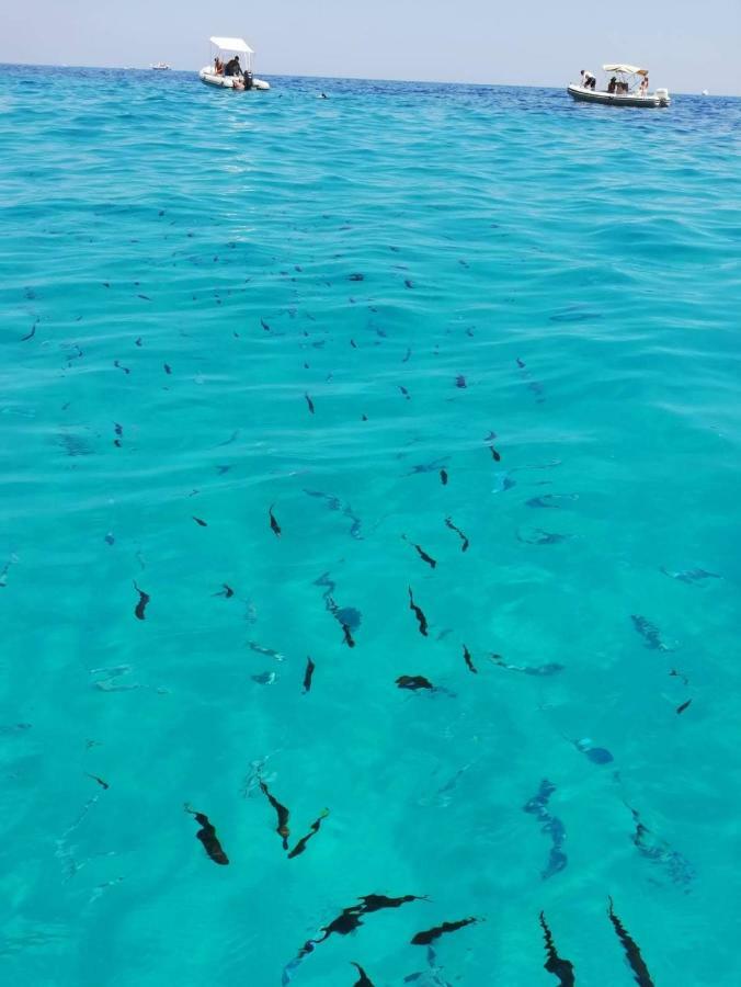 La Cantina Apartman Cala Gonone Kültér fotó